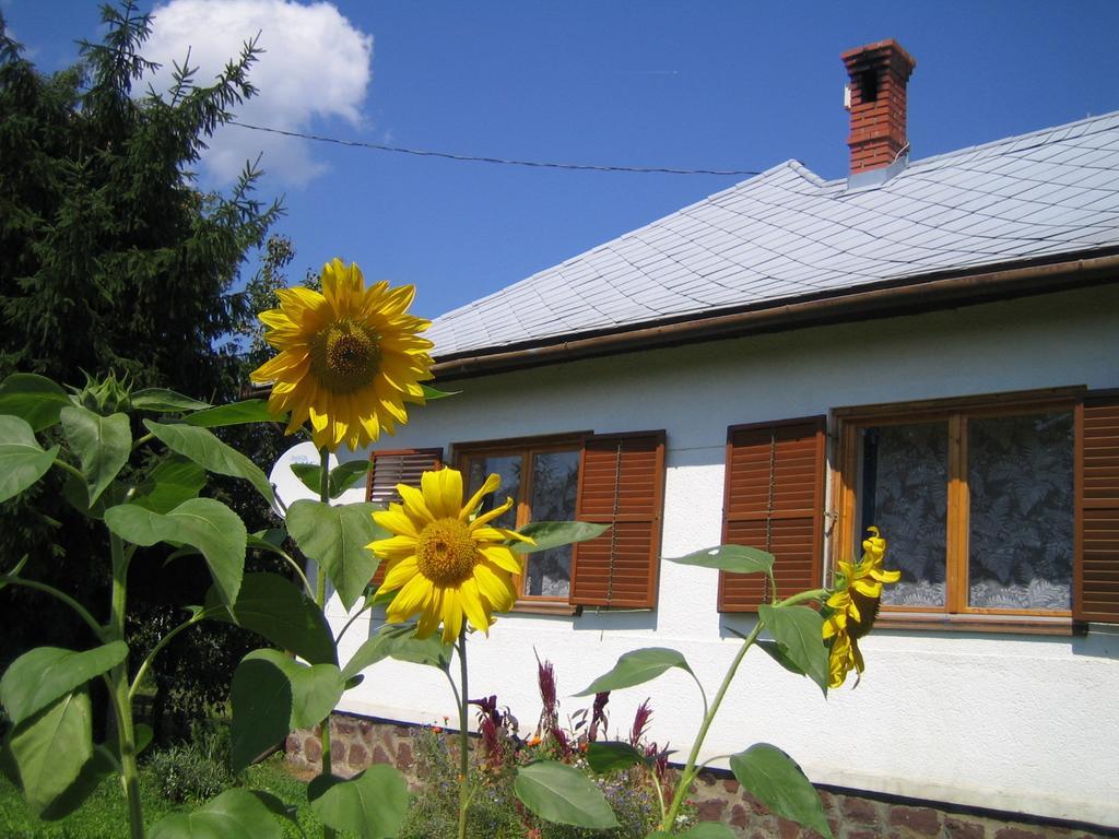 Almafas Vendeghaz Orseg Villa Kerkakutas Exterior photo